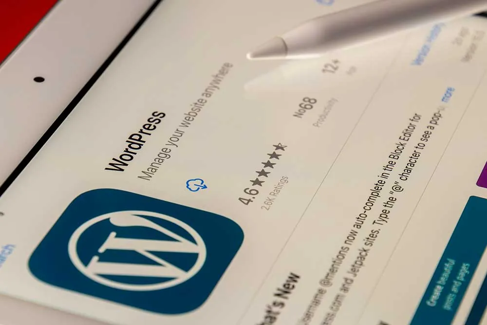 CMS WordPress